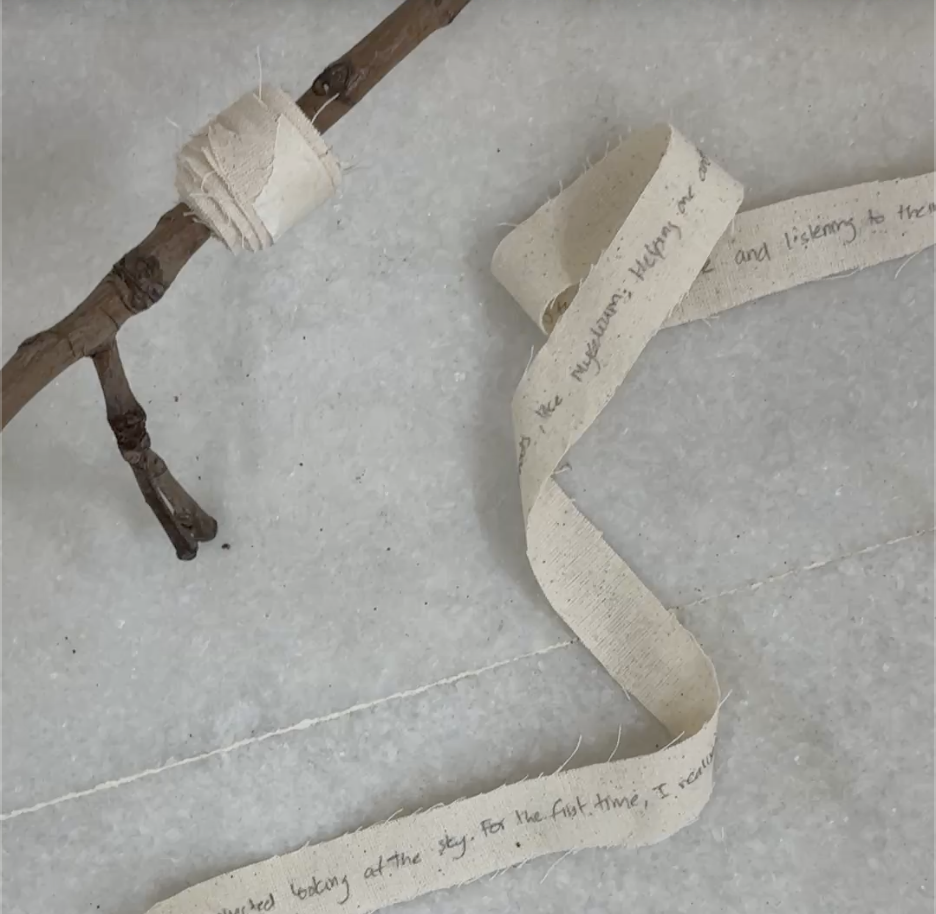 Screenshot 2025-11-05 at 14.19.21